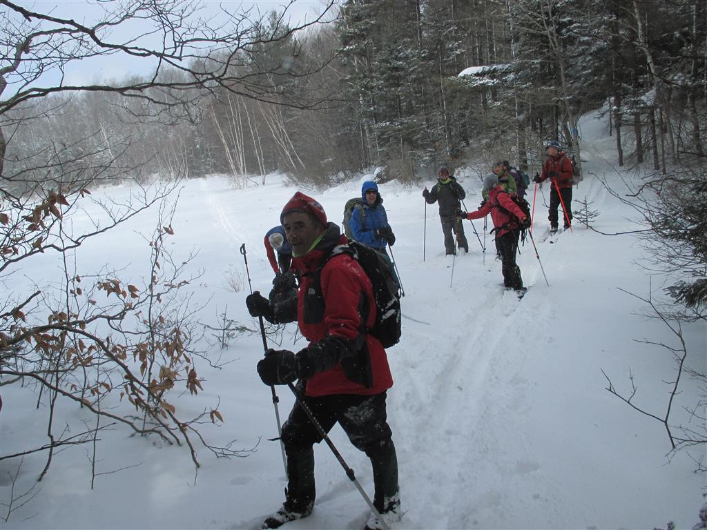 Photo by Marie Bartlett